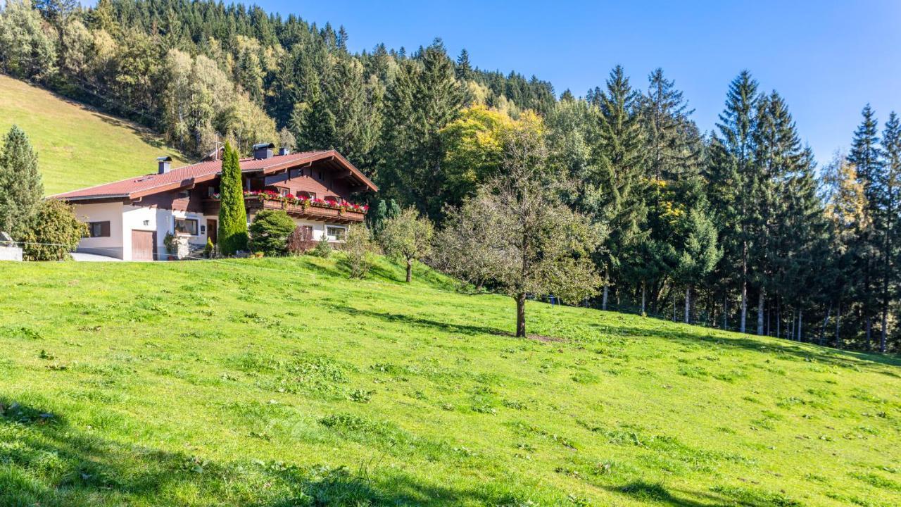 Ferienhaus Berger Mittersill Buitenkant foto